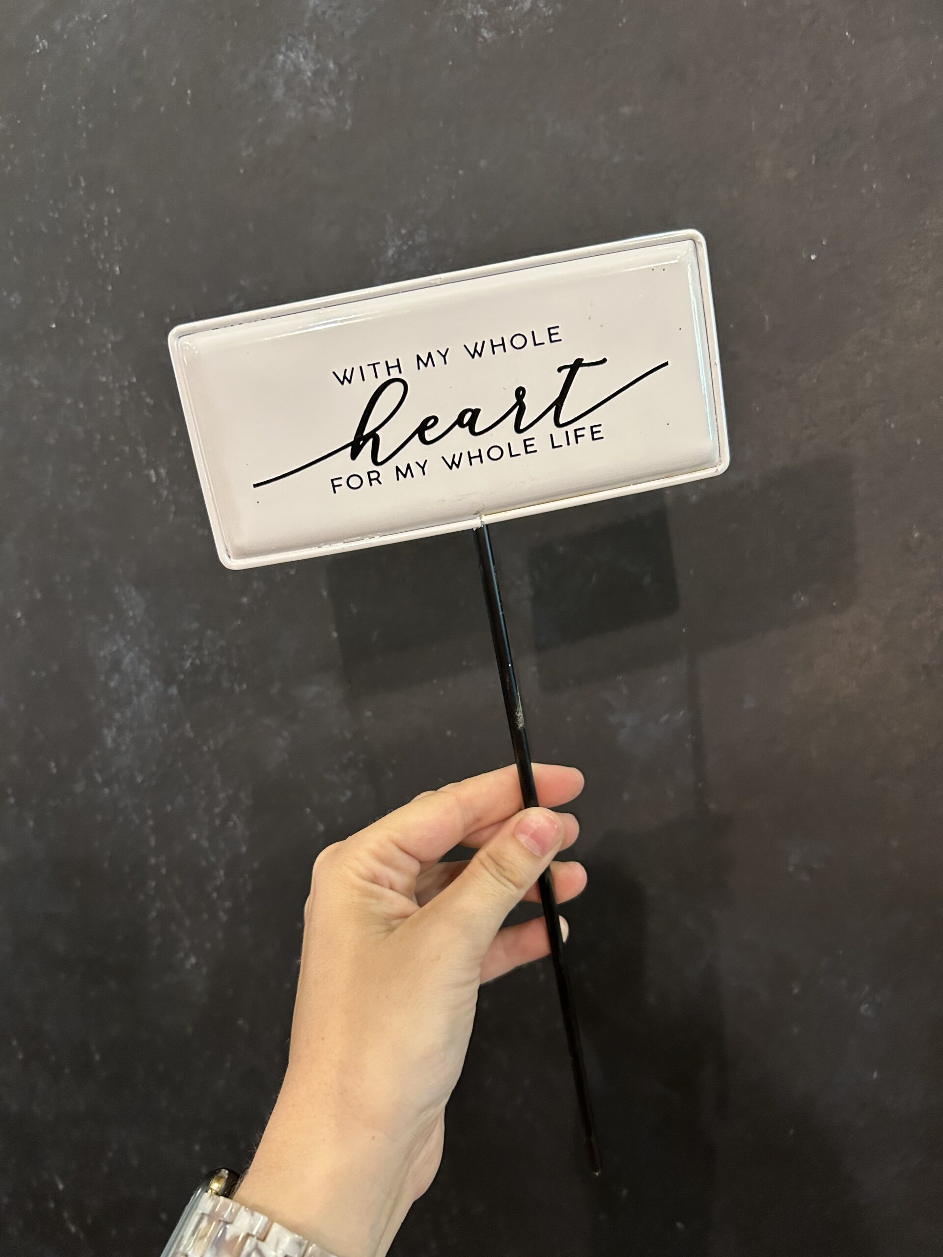 Metal Enamel B&W Pick - With My Whole Heart