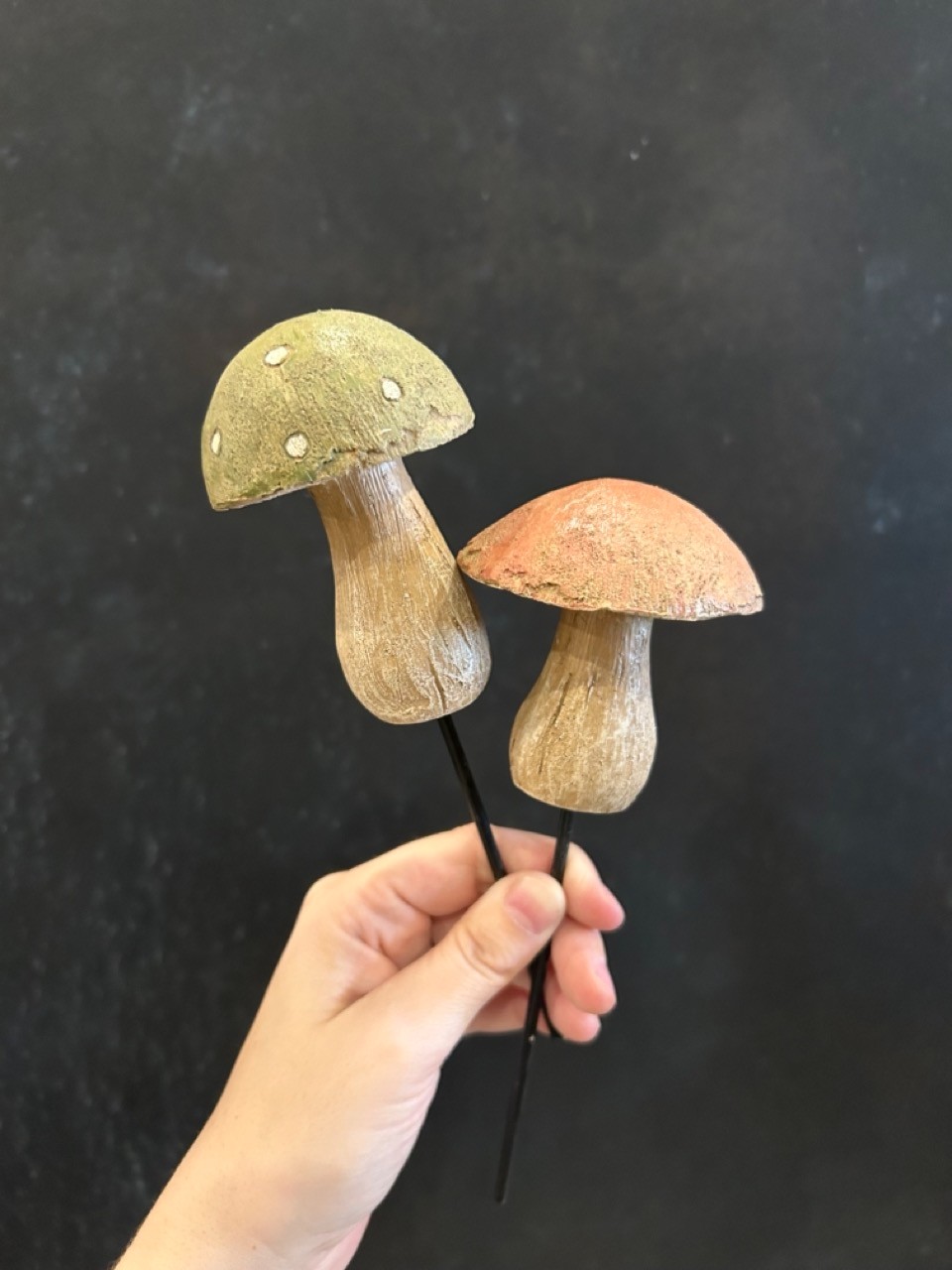 Mushroom Pick