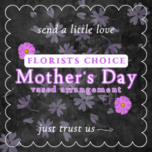 Mother's Day Vased Arrangement - Florist's Choice