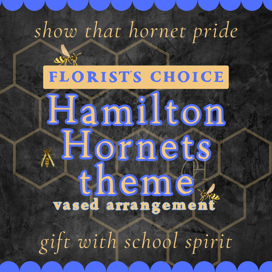 Hamilton Hornets Themed Vased Arrangement - Florist's Choice