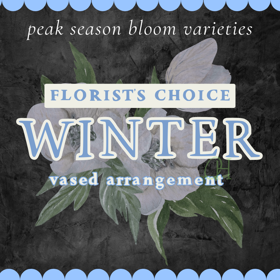 Winter Vased Arrangement - Florist's Choice