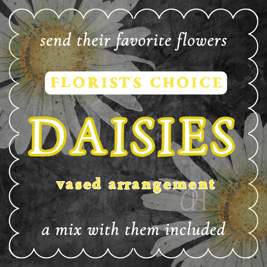Daisies Vase Arrangement - Florist's Choice