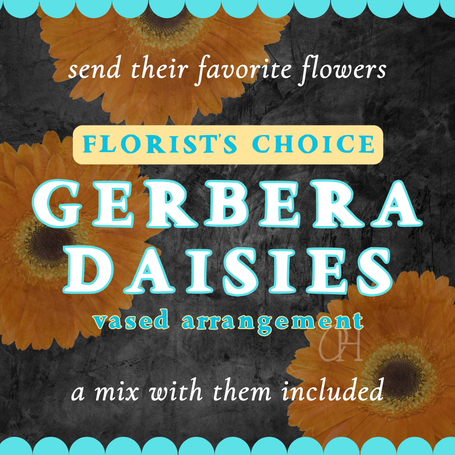 Gerbera Daisies Vase Arrangement - Florist's Choice