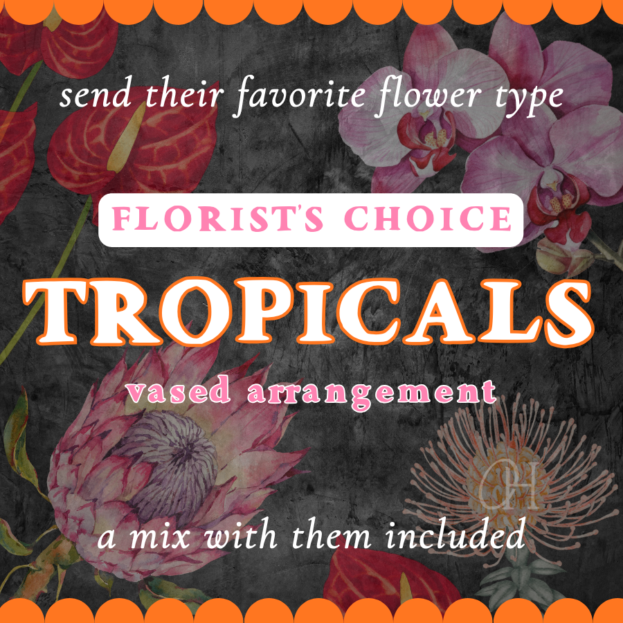 Tropicals Vase Arrangement - Florist's Choice