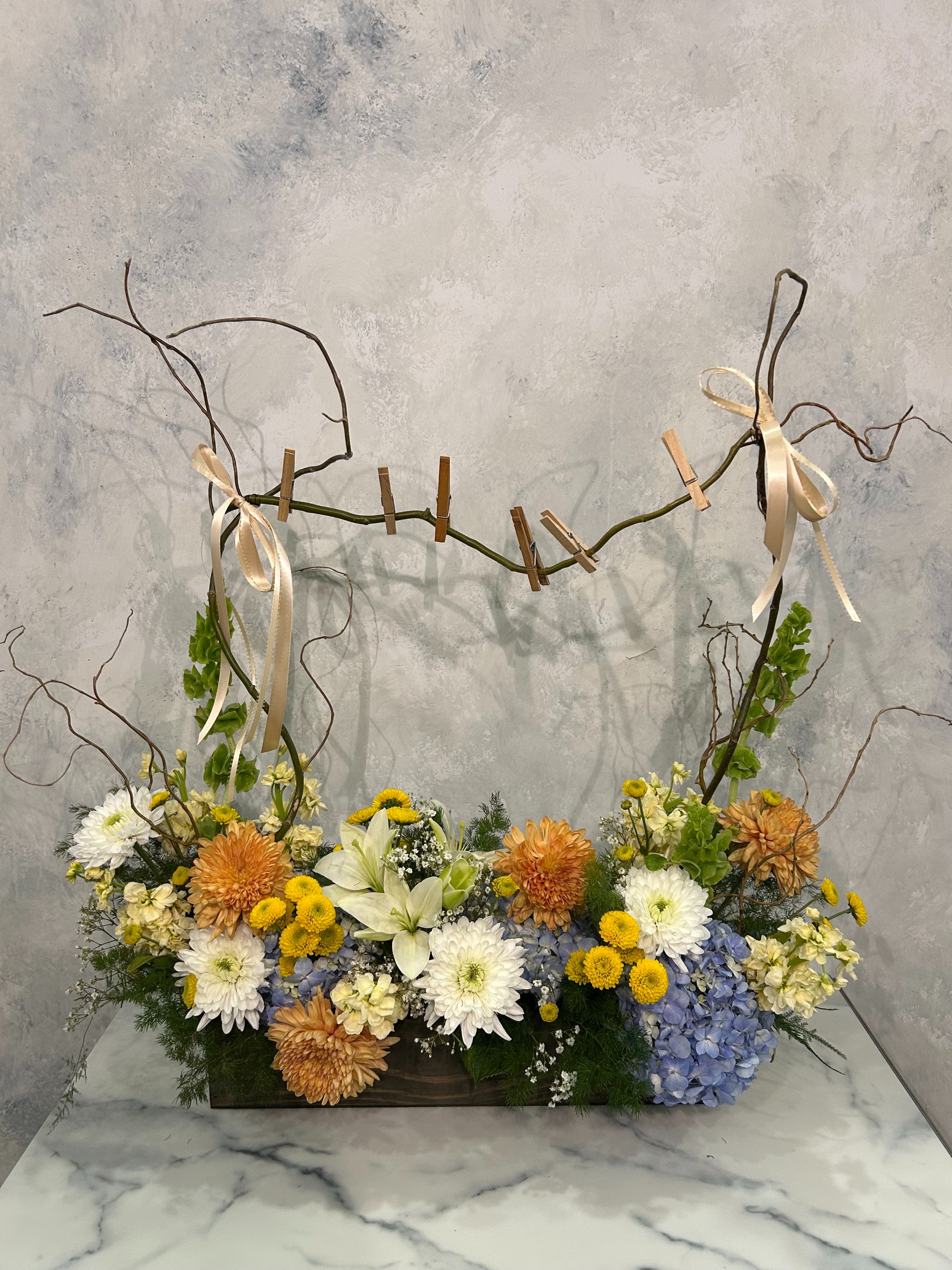 Baby Clothes Line Curly Willow Box