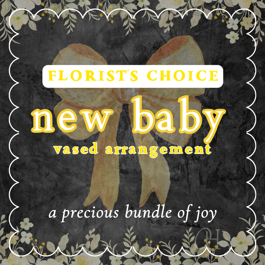 New Baby Vase Arrangement - Florist's Choice