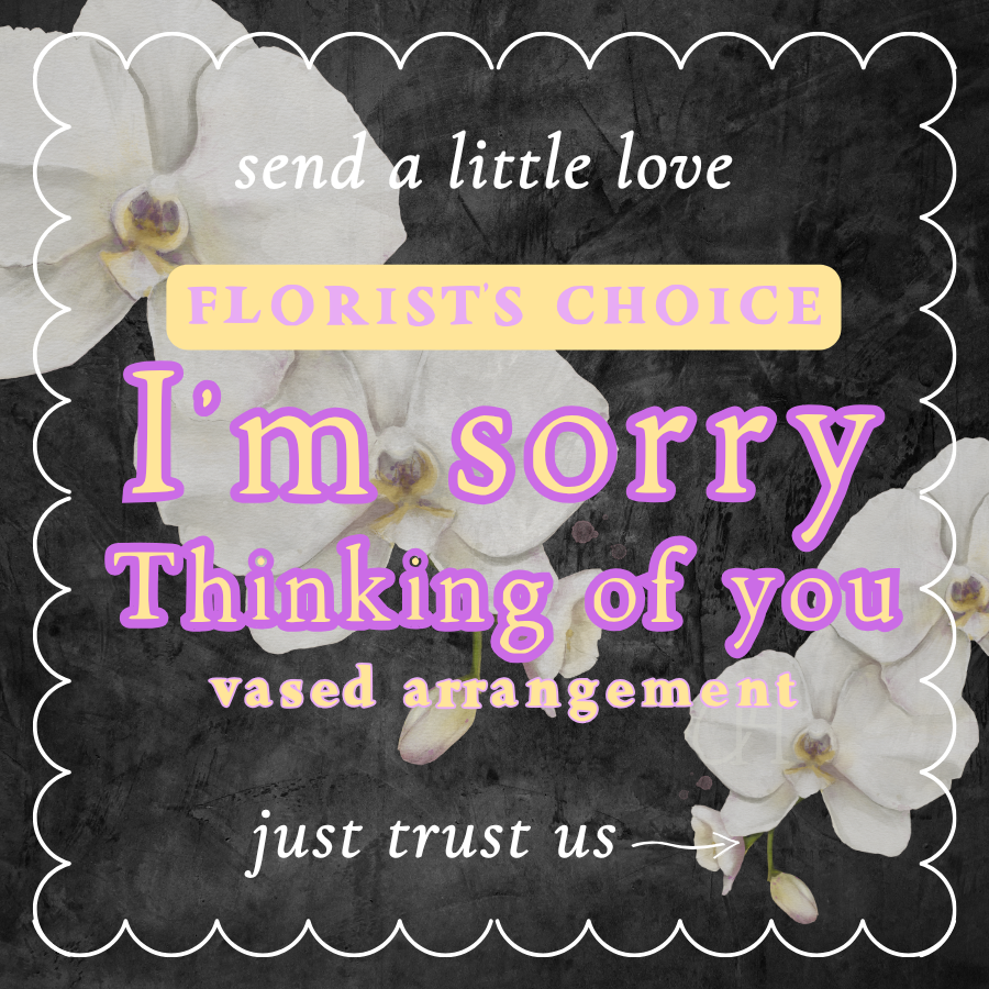 I'm Sorry / Thinking of You Vase Arrangement - Florist's Choice