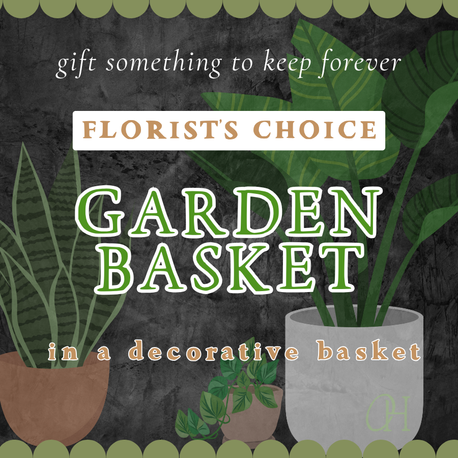 Garden Basket - Florist's Choice